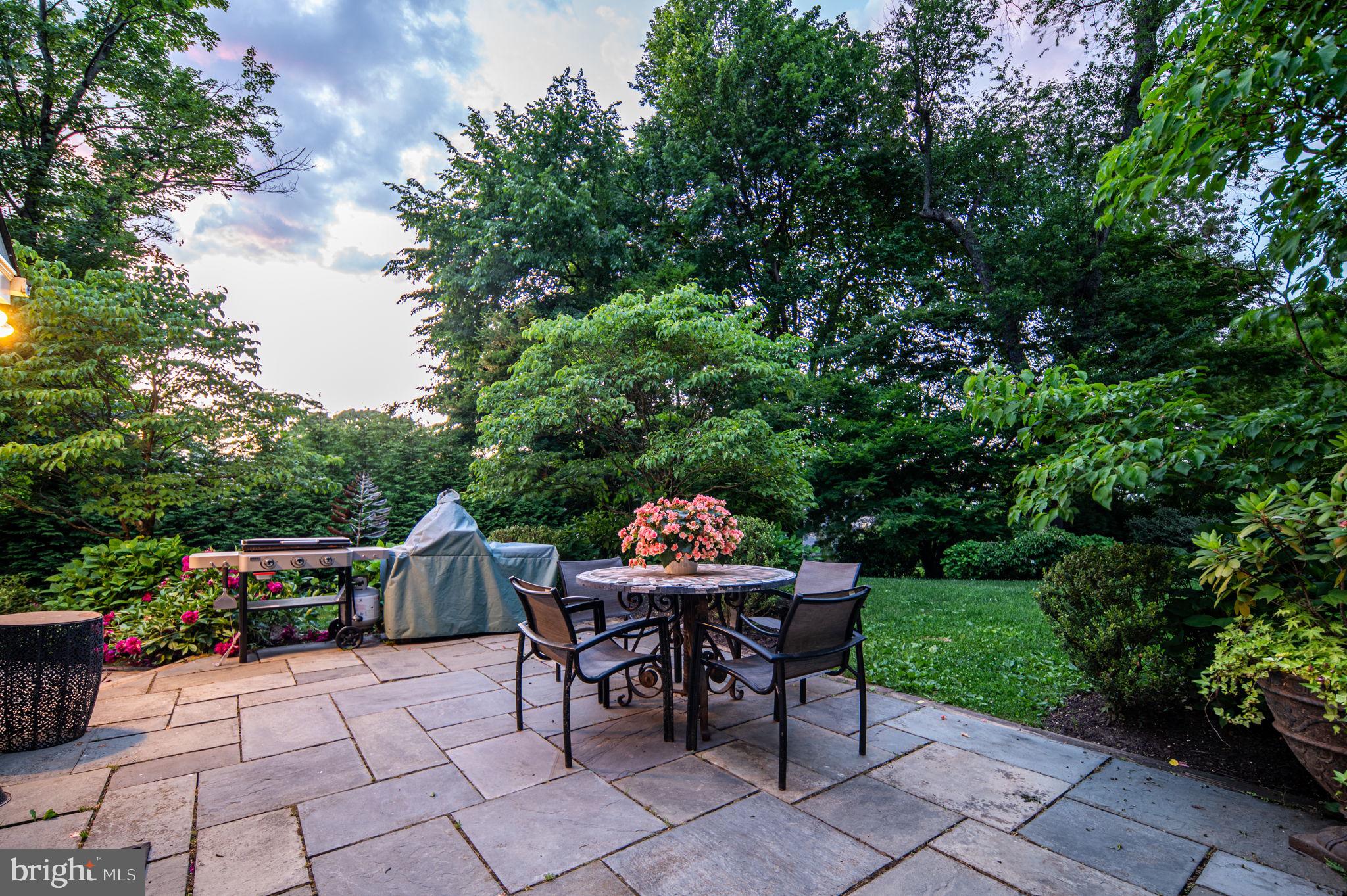 CHESTNUT HILL - Residential