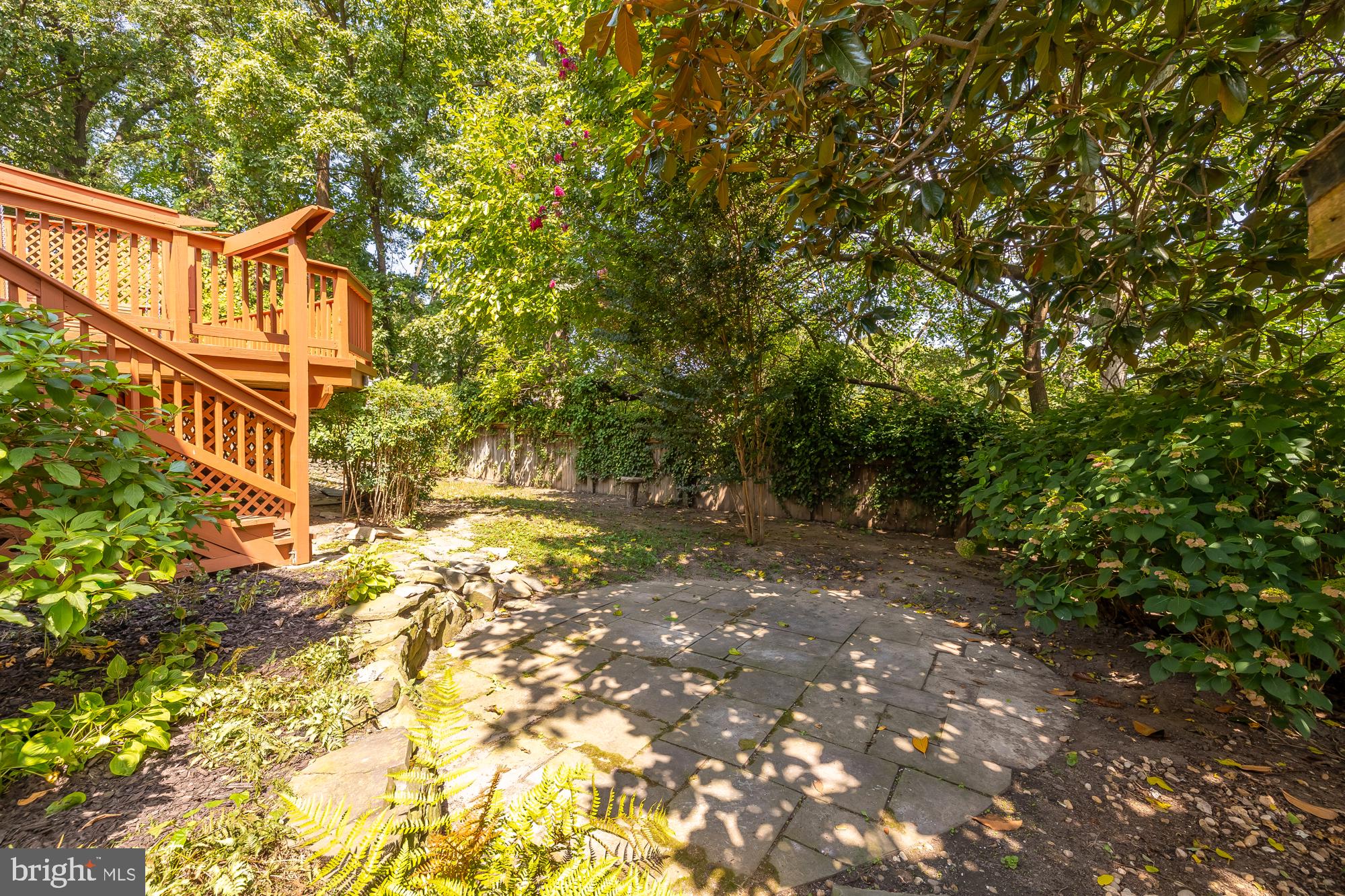 TAKOMA PARK - Residential