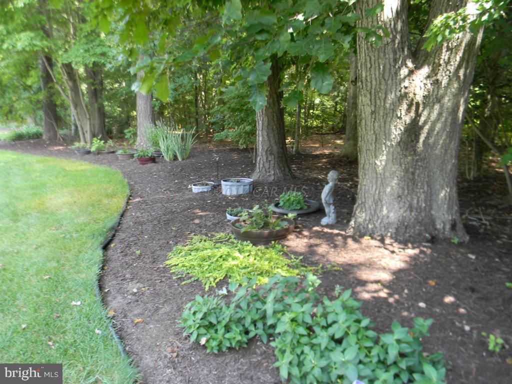 SLEEPY HOLLOW - Residential