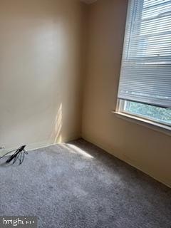 SOUTH KENSINGTON - Residential