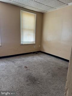 SOUTH KENSINGTON - Residential