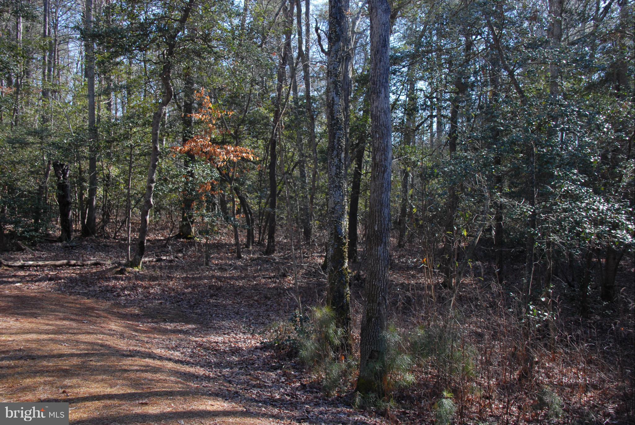 OAK FARM PROPERTIES - Land