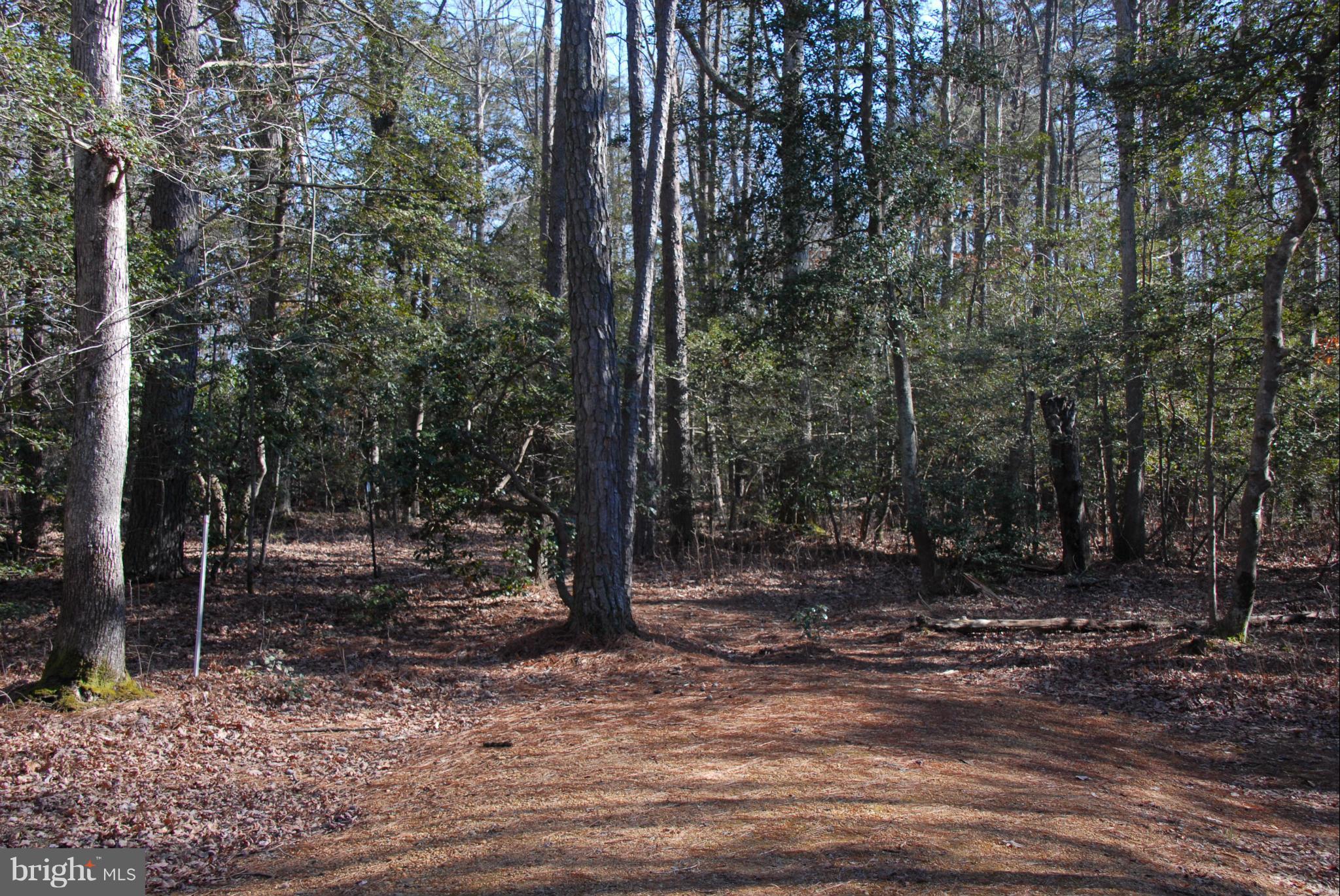 OAK FARM PROPERTIES - Land