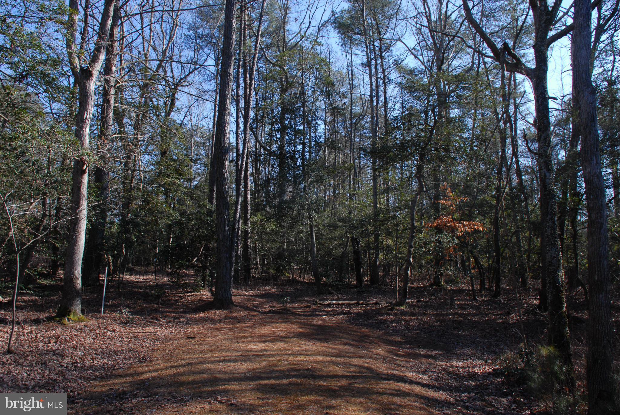 OAK FARM PROPERTIES - Land