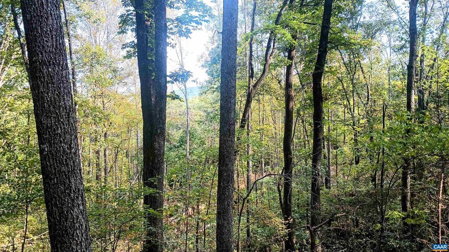 Build a dream home, family compound or weekend cabin on this 35.9ac mostly wooded parcel, that offers privacy and serenity, with a year round creek, spring fed stream, pond sites, trails, mountain views, and multiple homesite options. A great homestead location: fertile bottom land, terracing opportunities, space for livestock, mature hardwoods, your own water supply, spring house locations and a easterley/southerley aspect. Lots of wildlife to hunt or just observe. A road goes through to the rear where there is a yurt (no septic, no power). Some select timber cutting took place recently creating new roads/trails on the property and greater access. In 2007 Subdivision approval for 8 parcels was recommended after soil evaluations were performed which complied with VDH regulations. Power poles on property by road frontage. Investment opportunity! Lovingston is only 15 minutes away: grocery store, restaurants, banks, post office, antiques stores, farmers market, Blue Ridge Medical Center etc. Local music venues, breweries, wineries, hiking/ riding trails, rivers for paddling are all close by. 50 mins to Charlottesville, and 45 mins to Lynchburg. Do not enter the property unless accompanied by an agent.