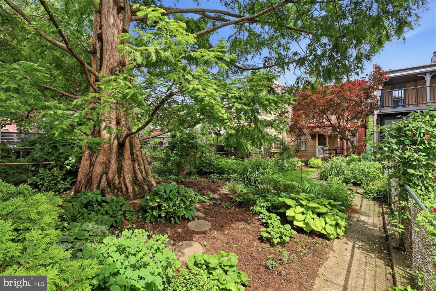 CHESTNUT HILL - Residential
