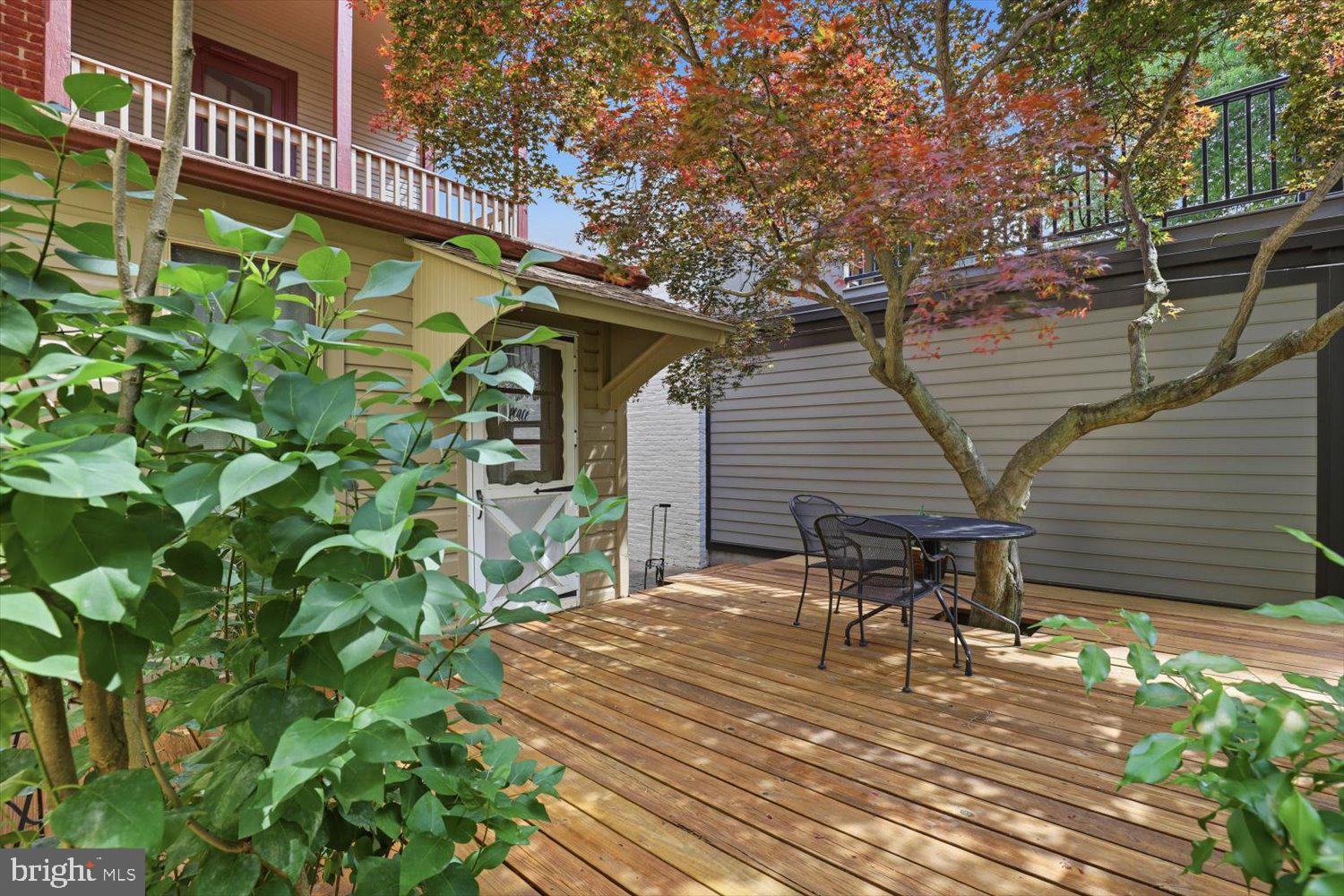CHESTNUT HILL - Residential
