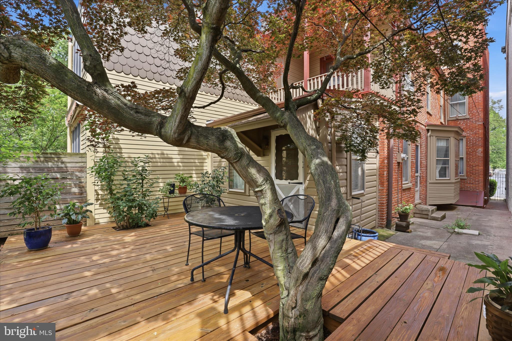 CHESTNUT HILL - Residential