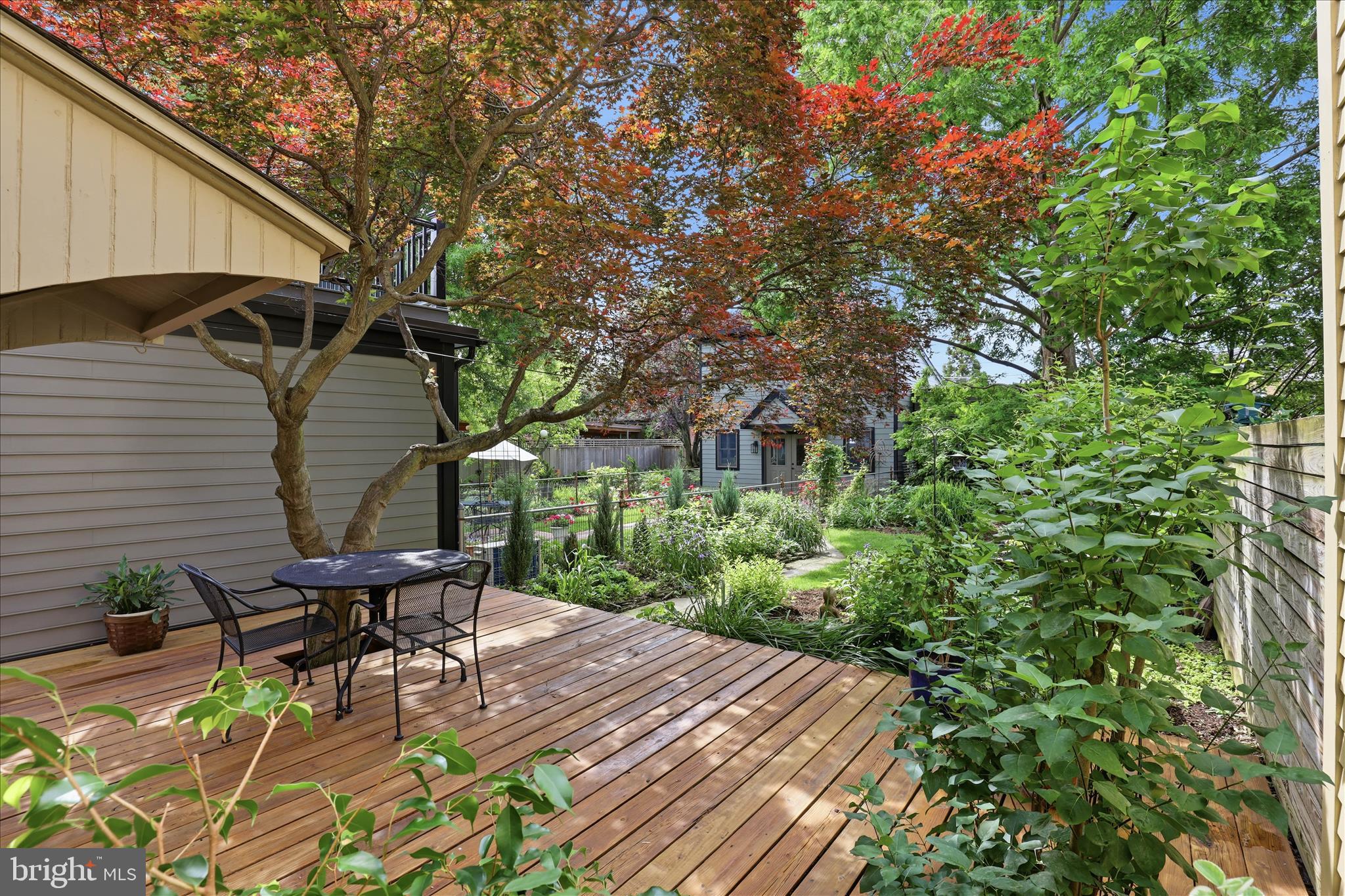 CHESTNUT HILL - Residential