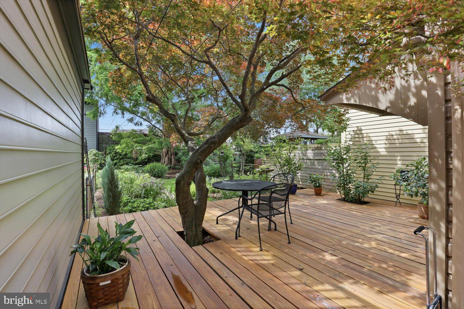CHESTNUT HILL - Residential