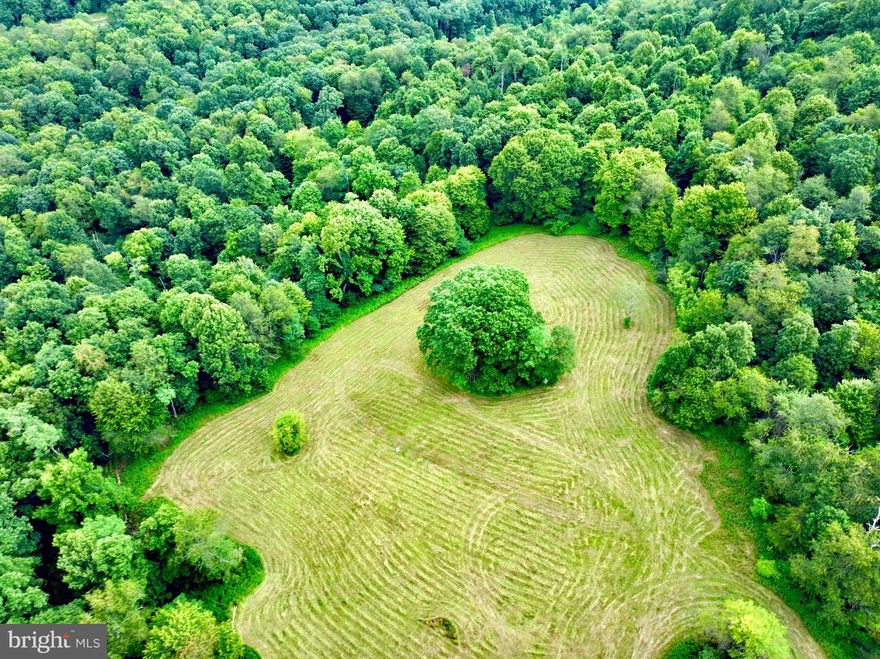 "Call it Home on Hudson" Less that 5 miles from I-68 just outside Bruceton Mills, WV this 150 +/- ACRE farm awaits. A perfect mix of mature hardwoods including white oak & hickory spread throughout the property. A 3 acre clearing for a home just off Hudson Road is already perk test passed along with capabilities of city water. Wildlife calls this tract home as deer, turkey, and bear roam the newly added food plots. Hunting blinds are set and ready for use overlooking the property. Excellent road system makes this property accessible from anywhere. Year round water flows through the hollows as a spring starts on the property. 20 +/- to Cheat Lake & Morgantown, WV. 30 +/- miles to Deep Creek Lake. 100 +/- miles to Pittsburgh. 190 +/- miles to Washington, DC. Call for your private showing today as this property will not last long.