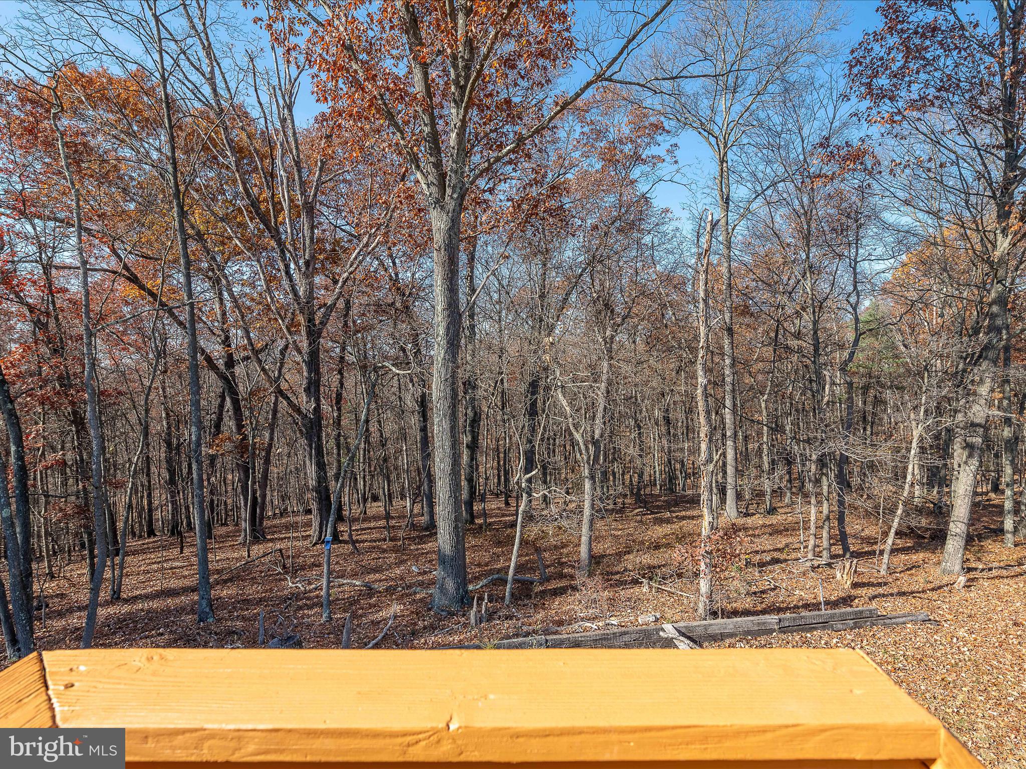 BERKELEY SPRINGS - Residential