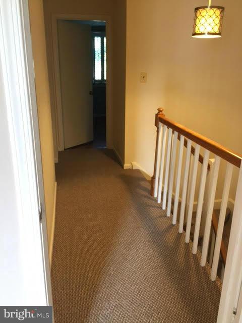 CARLYN PARK - Residential Lease