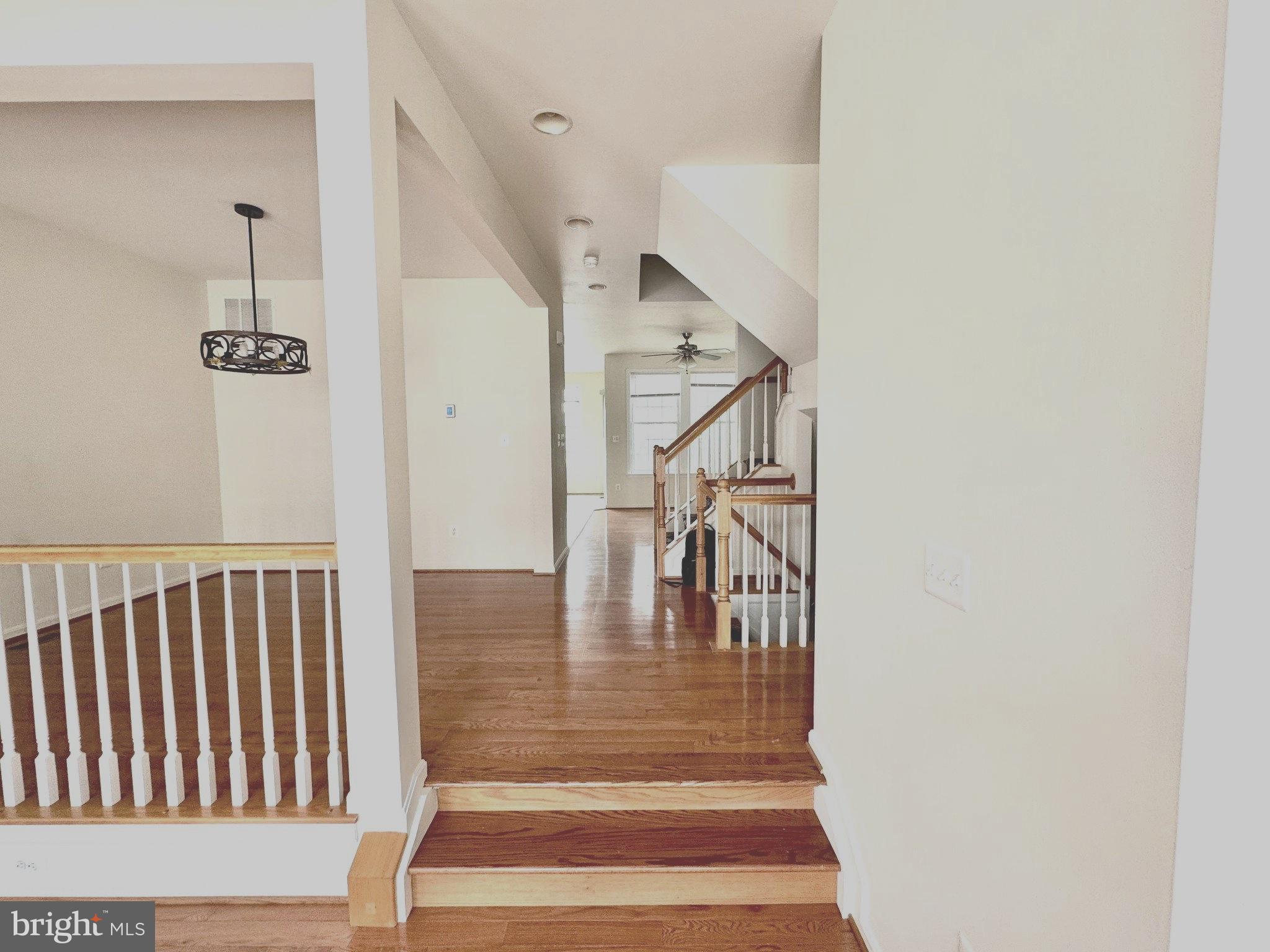 3381 BEECHCLIFF DRIVE