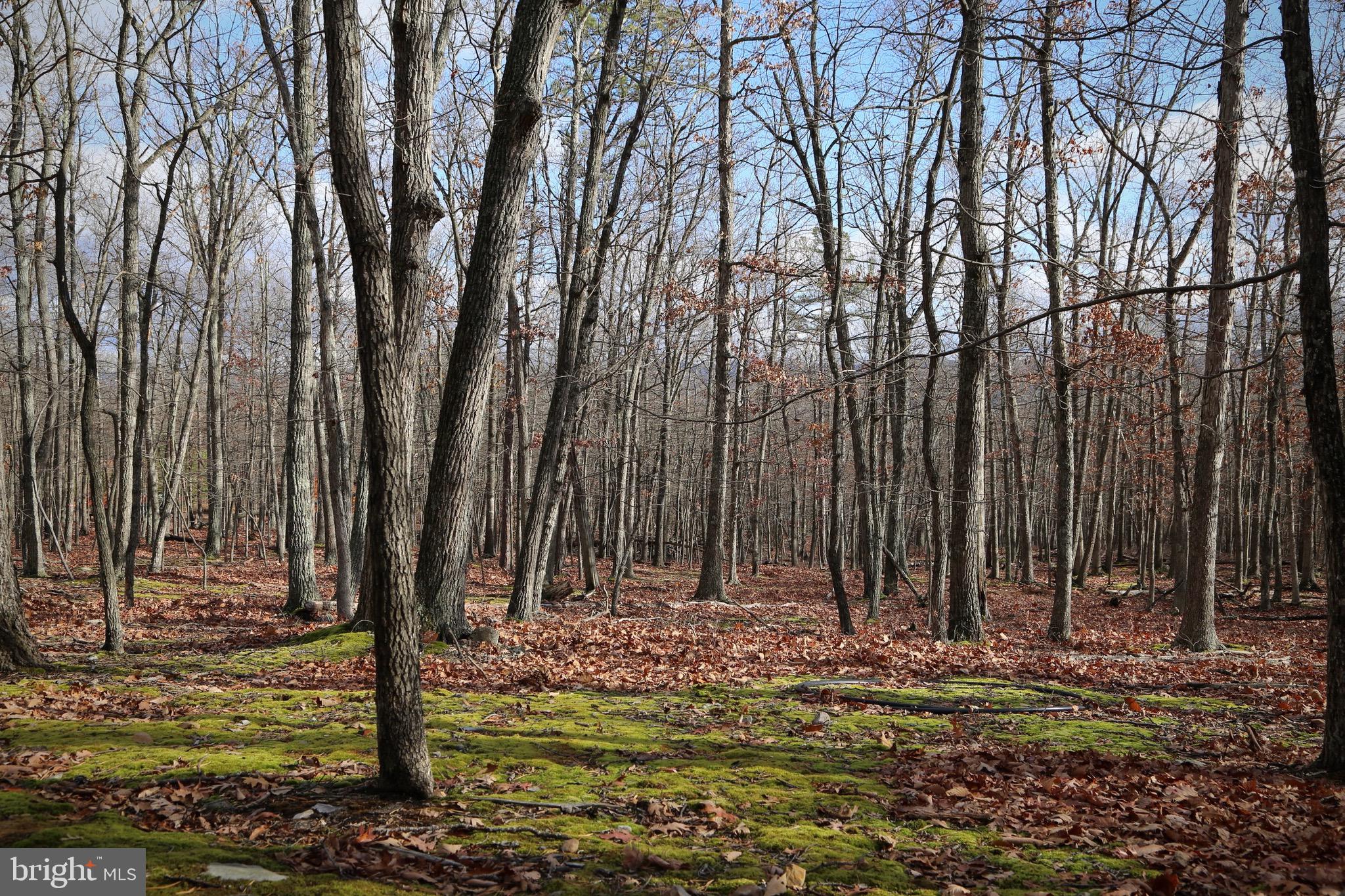 LOST RIVER RIDGE SUBDIVISION - Land