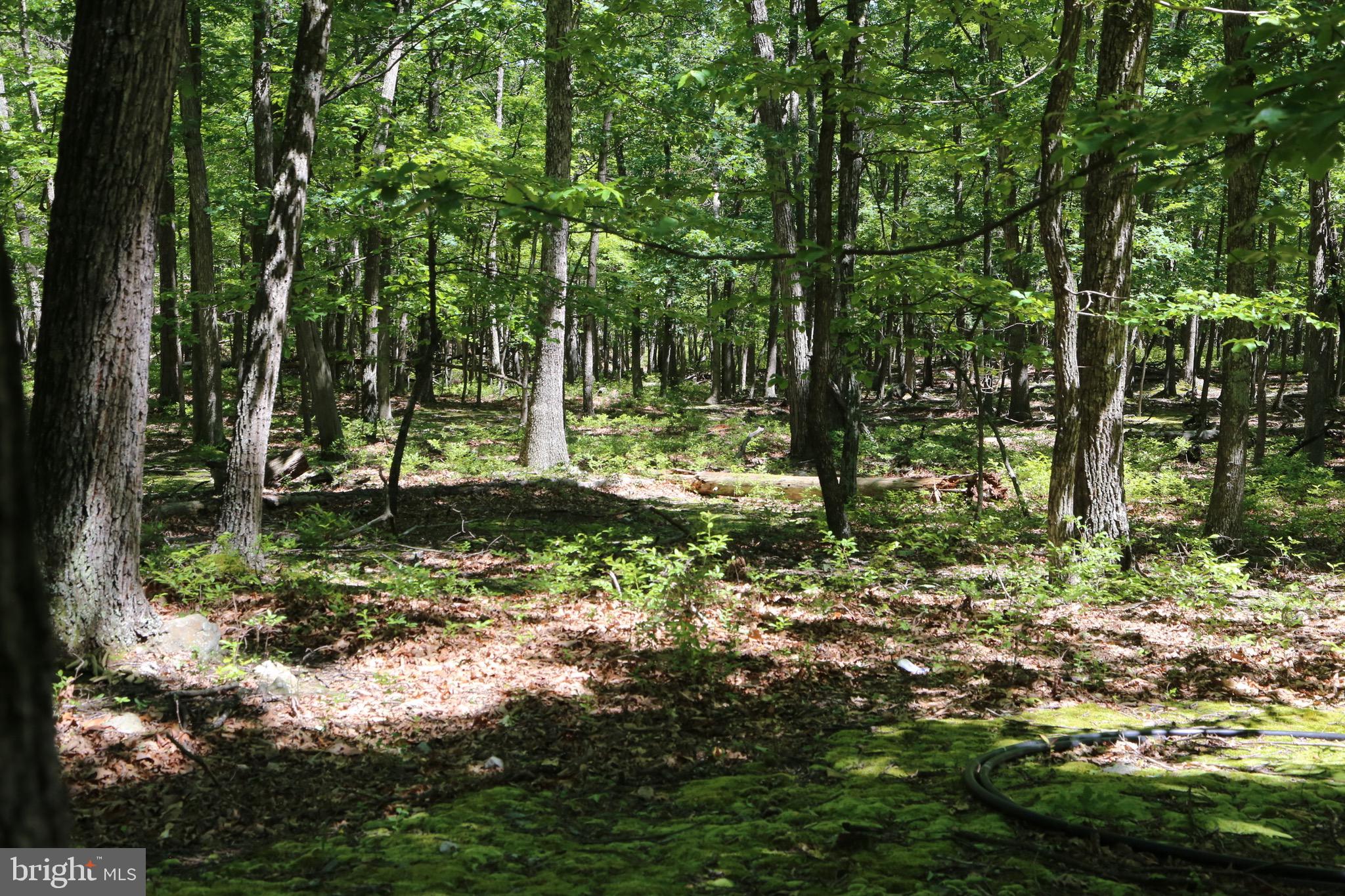 LOST RIVER RIDGE SUBDIVISION - Land