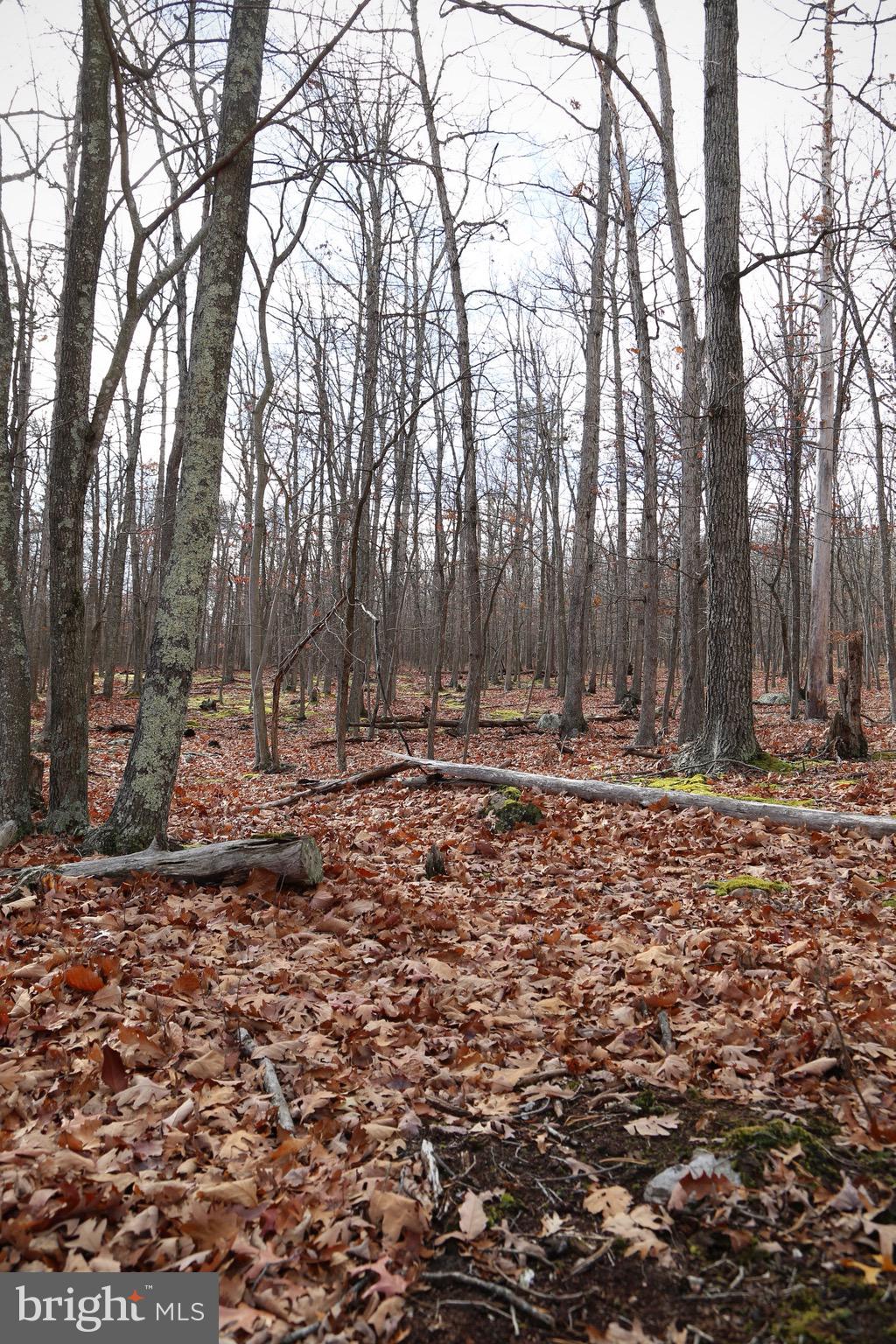 LOST RIVER RIDGE SUBDIVISION - Land