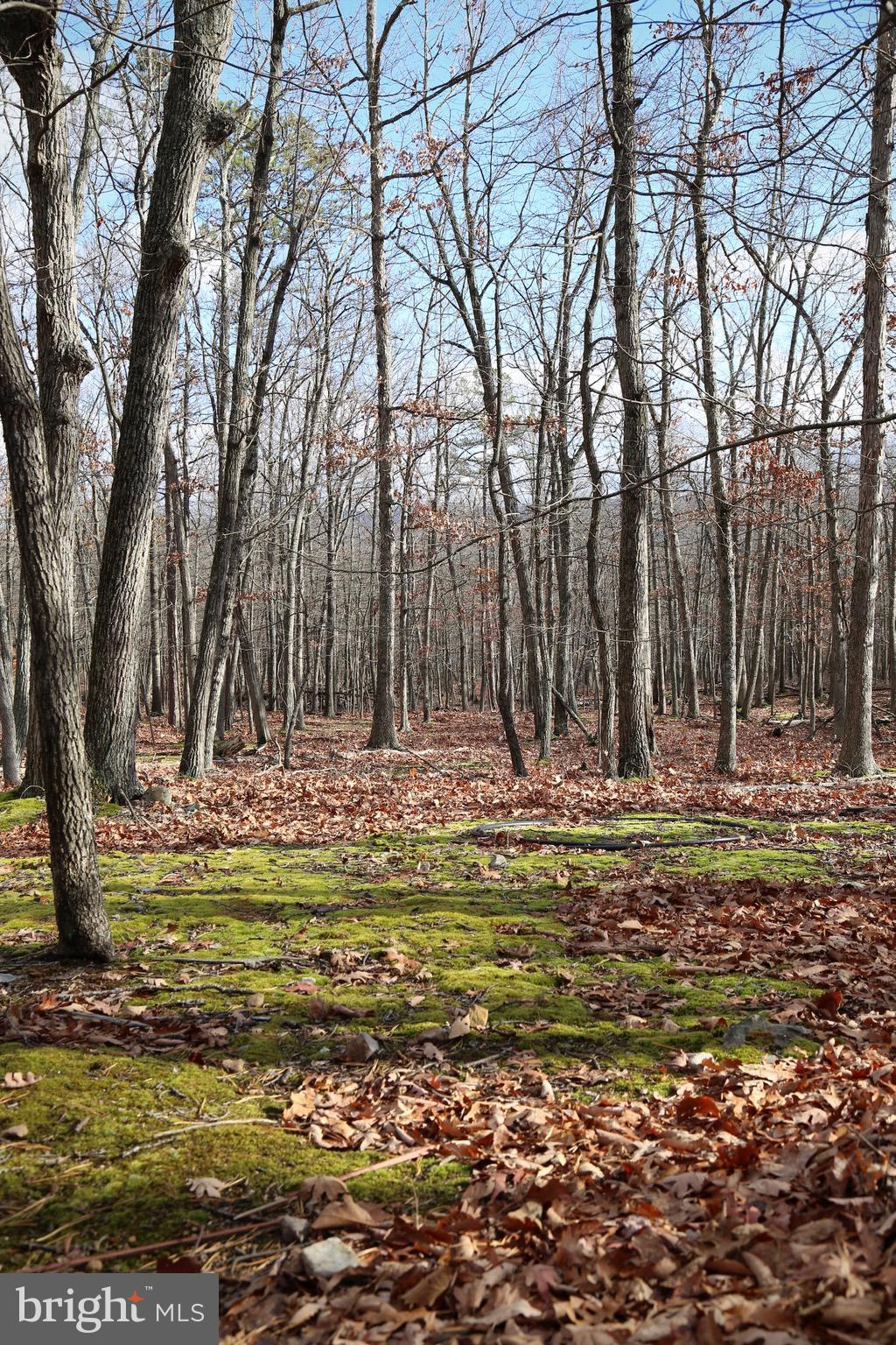 LOST RIVER RIDGE SUBDIVISION - Land