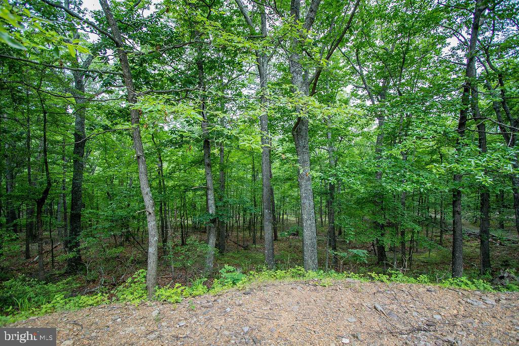 TIMBER MOUNTAIN - Residential