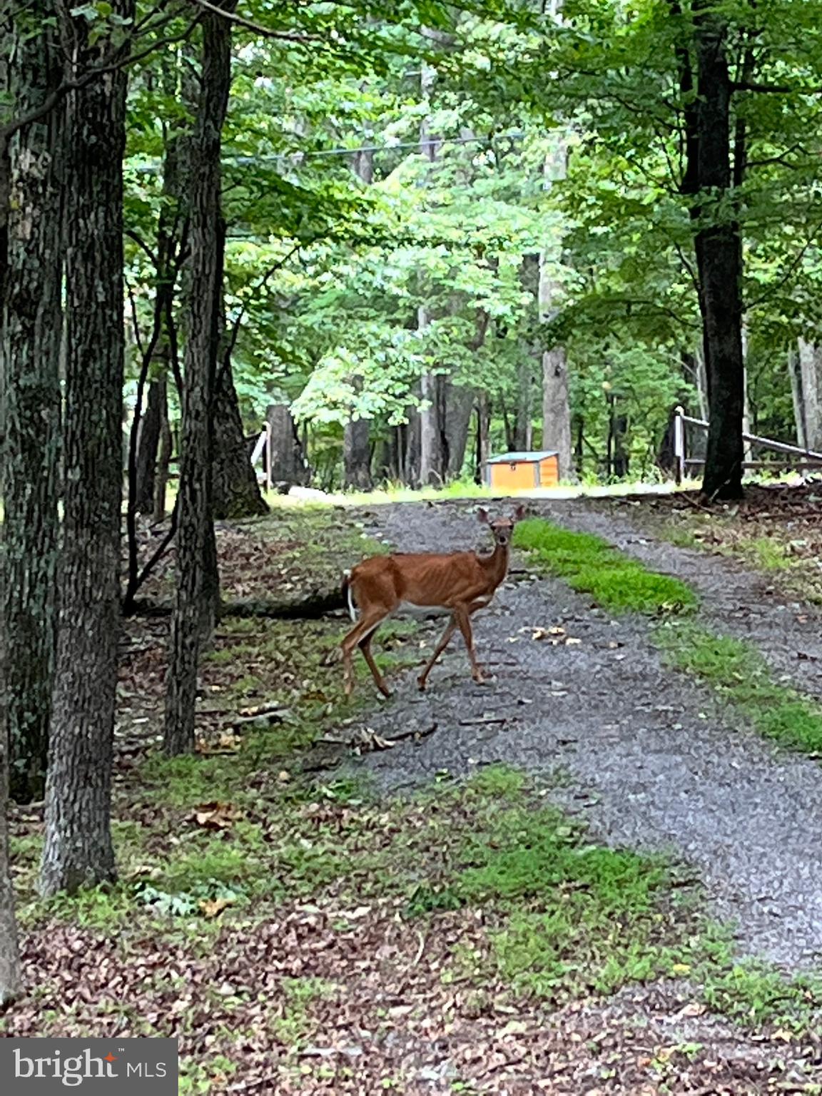 RIVER RIDGE - Residential