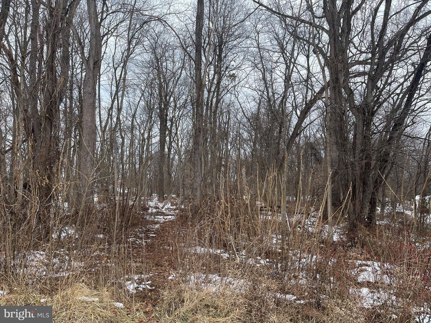 Great level wooded 4 acre building lot. This lot is close to the new elementary school, shopping (Home Depot, Weis etc..)  and 3 miles from the Hollywood Casino and Hospital.  Build your dream home with privacy but still close to everything.  A must see!