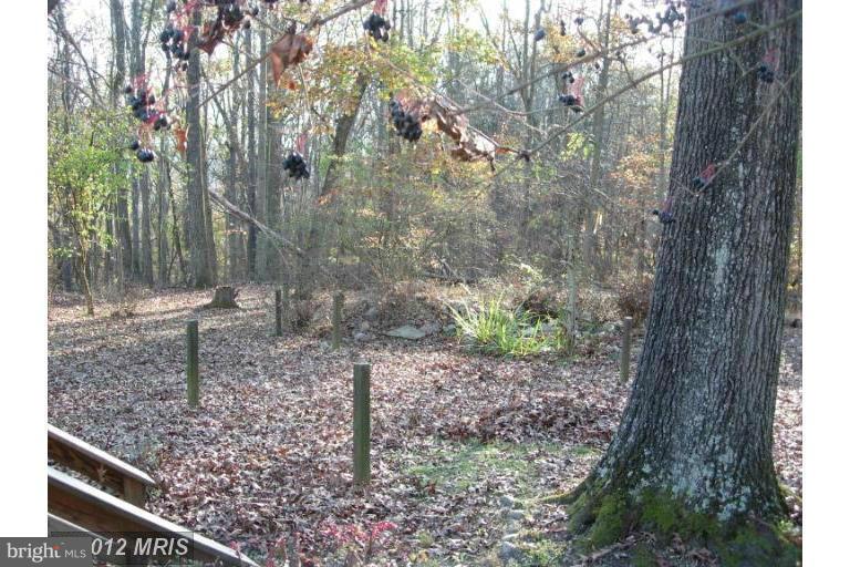 CALMES NECK ESTATES - Residential Lease