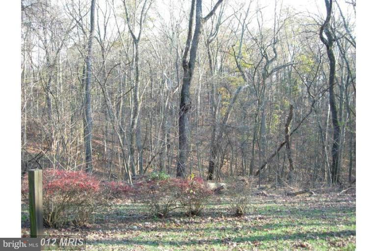 CALMES NECK ESTATES - Residential Lease