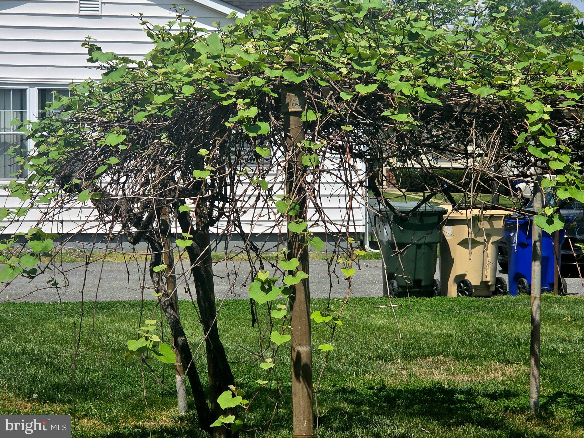 LAKELAND - Residential