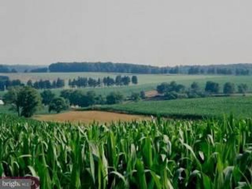 When one drives over the hill overlooking the awesome views of hundreds of acres of country preserve, one is struck by the beauty of the magnificent valley in Andrews Bridge hunt country.  The carefully chosen house site takes in the beauty of this valley that includes the Octorara Creek and Bells Run stream.  The 96 acres of gently rolling fields is a part of the 950 acre preservation effort.  Words cannot further express this beautiful valley!  The conservation easement allows for one primary residence.  Conveniently located just over the Chester County border in Lancaster County and is easily accessible to Wilmington, Philadelphia, Baltimore and Lancaster.  No further subdivision permitted.