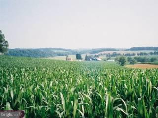 NONE AVAILABLE - Land