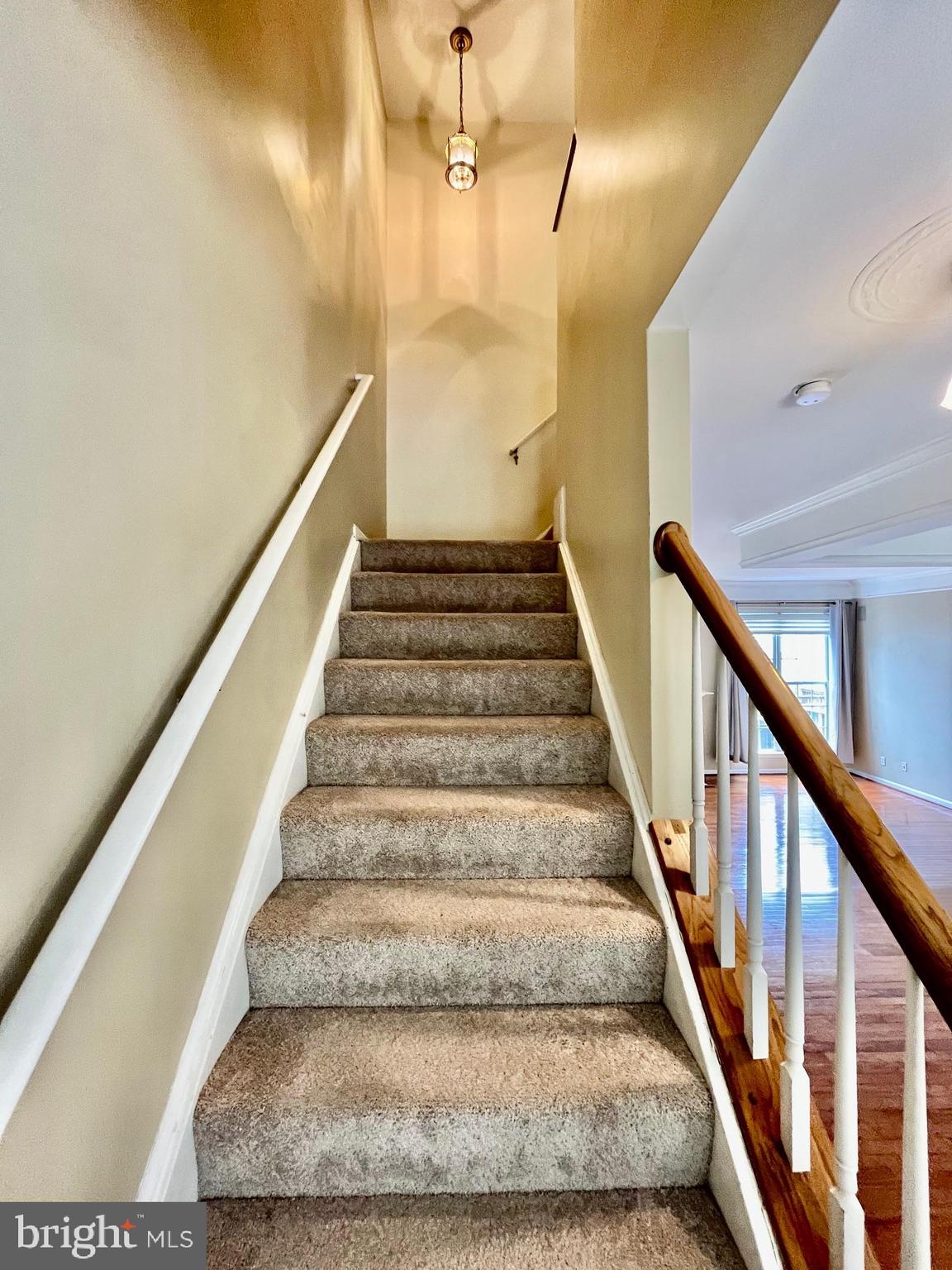 ISLAND CREEK - Residential Lease