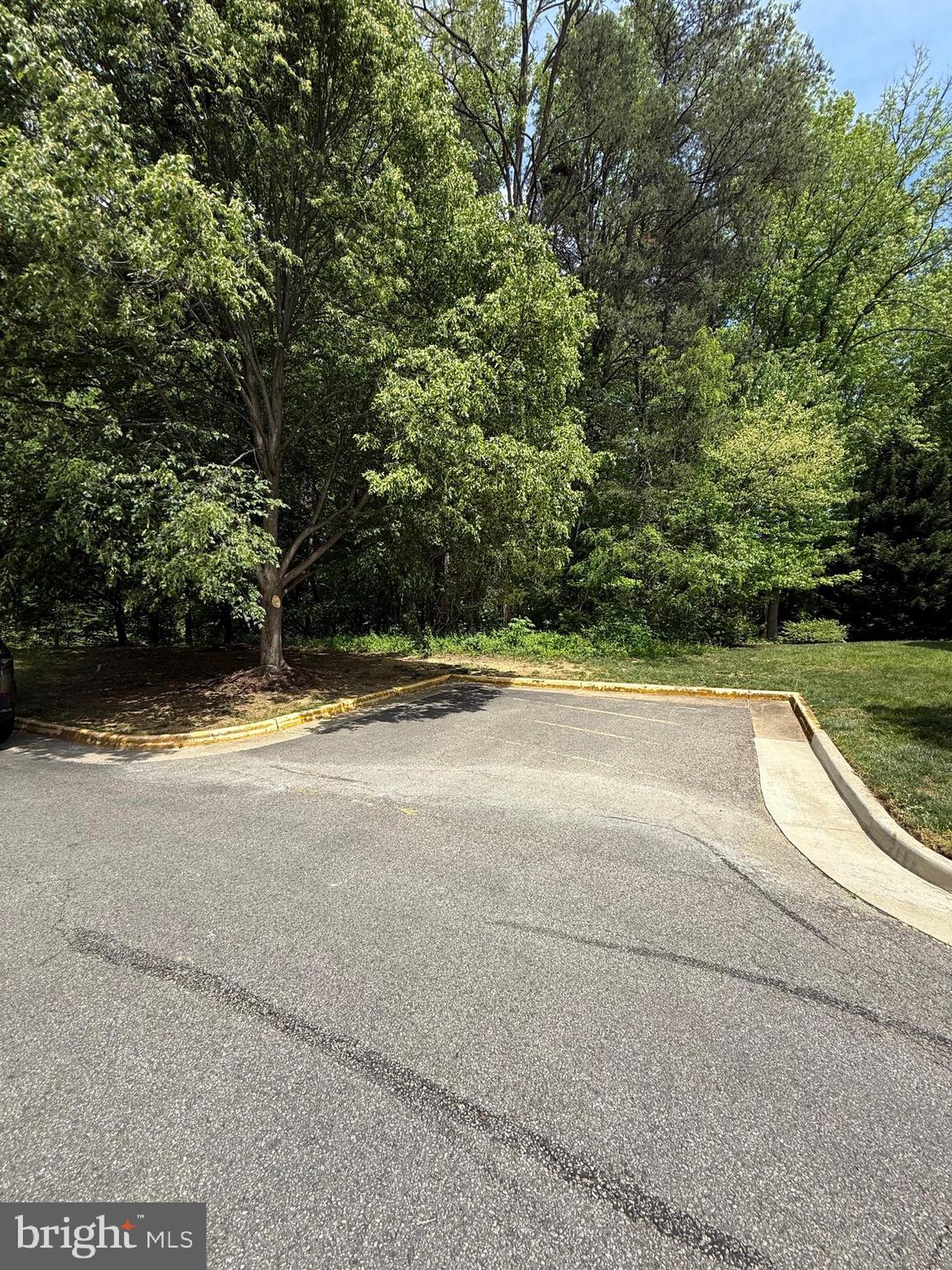 7504 LAMOYNE COURT