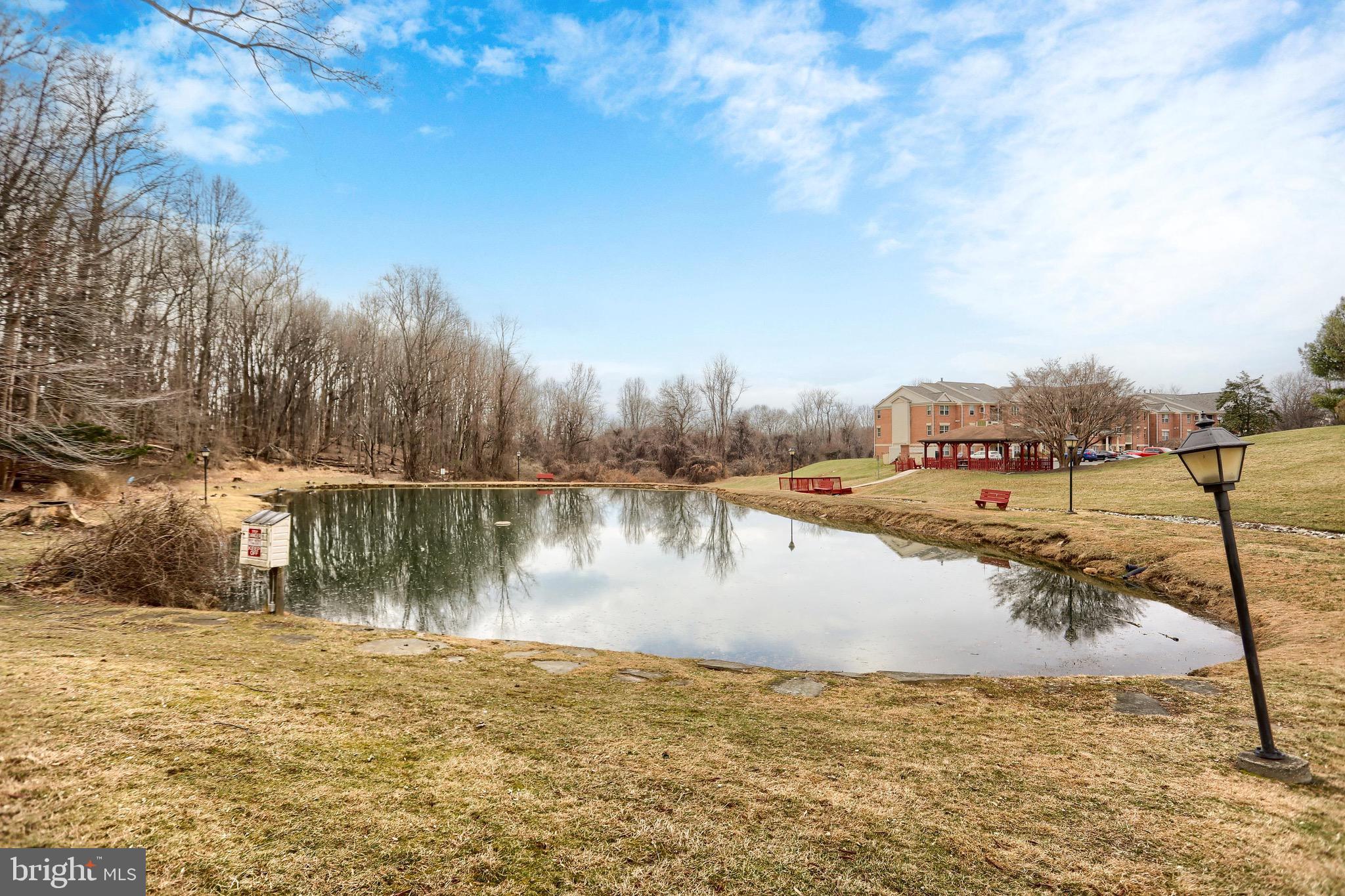 THE POND - Residential