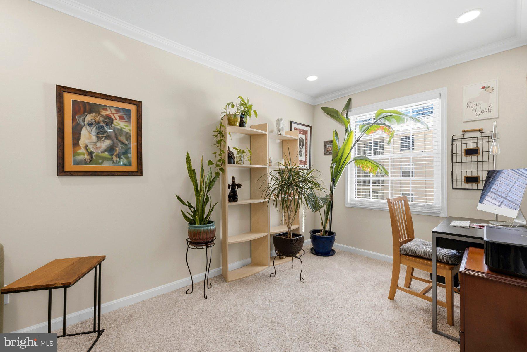 CARDINAL FOREST - Residential