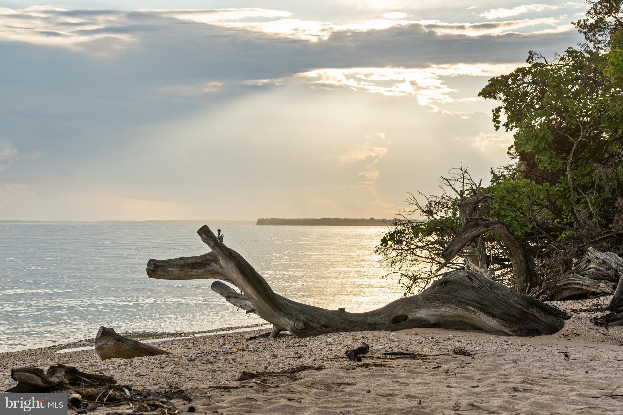 LEONARDTOWN - Residential