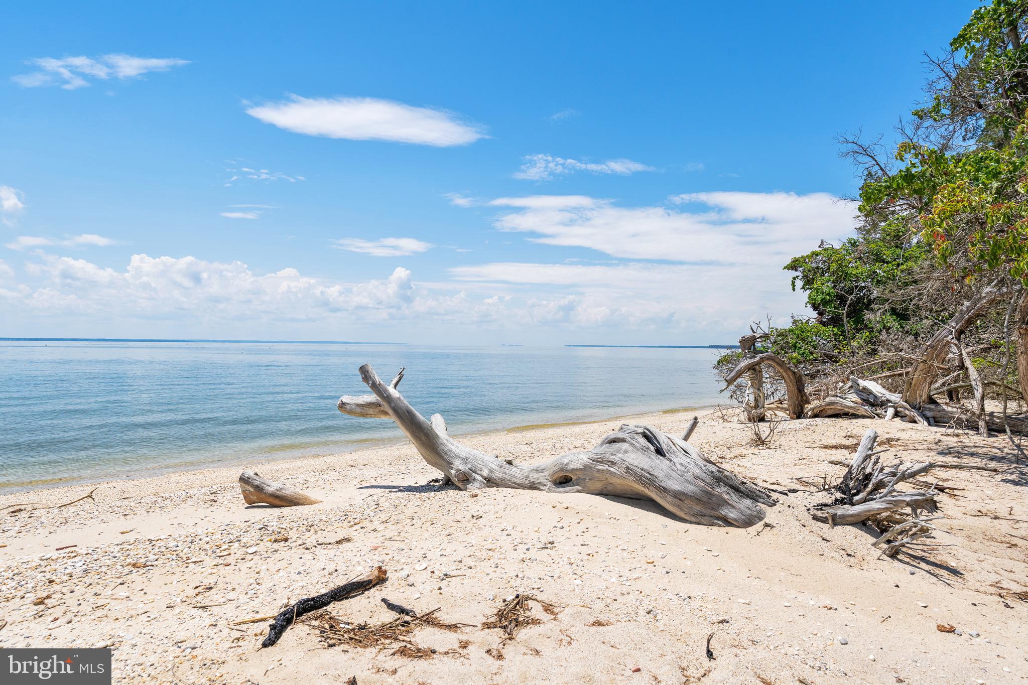 LEONARDTOWN - Residential