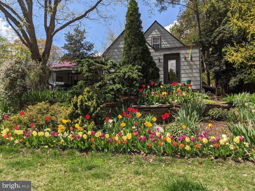 Introducing 505 Ellsworth Drive, an expanded cape nestled in the heart of Silver Spring. This renovated residence offers the epitome of modern comfort and convenience, mere steps away from all that Silver Spring has to offer, with a master front garden that has been deemed the "best yard and flowers in South Woodside Park". 

Step inside to discover a recently renovated space with an open concept kitchen, dining room, and living room adorned with recessed lighting and a wood-burning fireplace, creating a cozy ambiance for gatherings and relaxation. The kitchen is a chef's dream, boasting maple cabinets, granite countertops, and GE Cafe appliances.

The main level also features a generous primary bedroom with a freshly renovated en-suite bath, adorned with beautiful French doors that open onto the spectacular backyard waterfall—a tranquil oasis right at your doorstep. Additionally, a second full bath, laundry room, and access to the family room complete this level, offering seamless functionality and modern living.

Upstairs, you'll find two more bedrooms, a powder room, and ample storage space, providing versatility and room for personalization. Throughout the home, attention to detail is evident, with glowing hardwoods and many other high-end finishes adding character and charm.

But the allure doesn't end there. This property also features a licensed one-bedroom apartment (ADU) on the lower level, boasting a separate entrance, outdoor seating area, living room, kitchen with granite countertops, den, full bath, and laundry room—rented as an Airbnb for rental income by the sellers (329 nights in 2024!) but it is also ideal for guests and extended family, *Note, MoCo DHHS will require the new owner to apply to transfer the license within 15 days of the sale or they’ll have to start the application process all over again.

Do not miss the versatile workshop/bonus space, where creativity knows no bounds. Whether you're a hobbyist, an entrepreneur, or simply in need of extra storage, this multifunctional area is a game-changer. With its own 60 amp electrical panel, you'll have the power to bring your visions to life, whether it's woodworking, crafting, or tinkering with projects.

Location-wise, this residence is a commuter's dream, less than a mile to the Silver Spring Metro and even closer to the future Purple line Metro. Plus, enjoy the convenience of nearby amenities such as Ellsworth Dog Park, Sligo Creek Trail, Farmers Market, and Whole Foods—all within a short stroll from your doorstep.