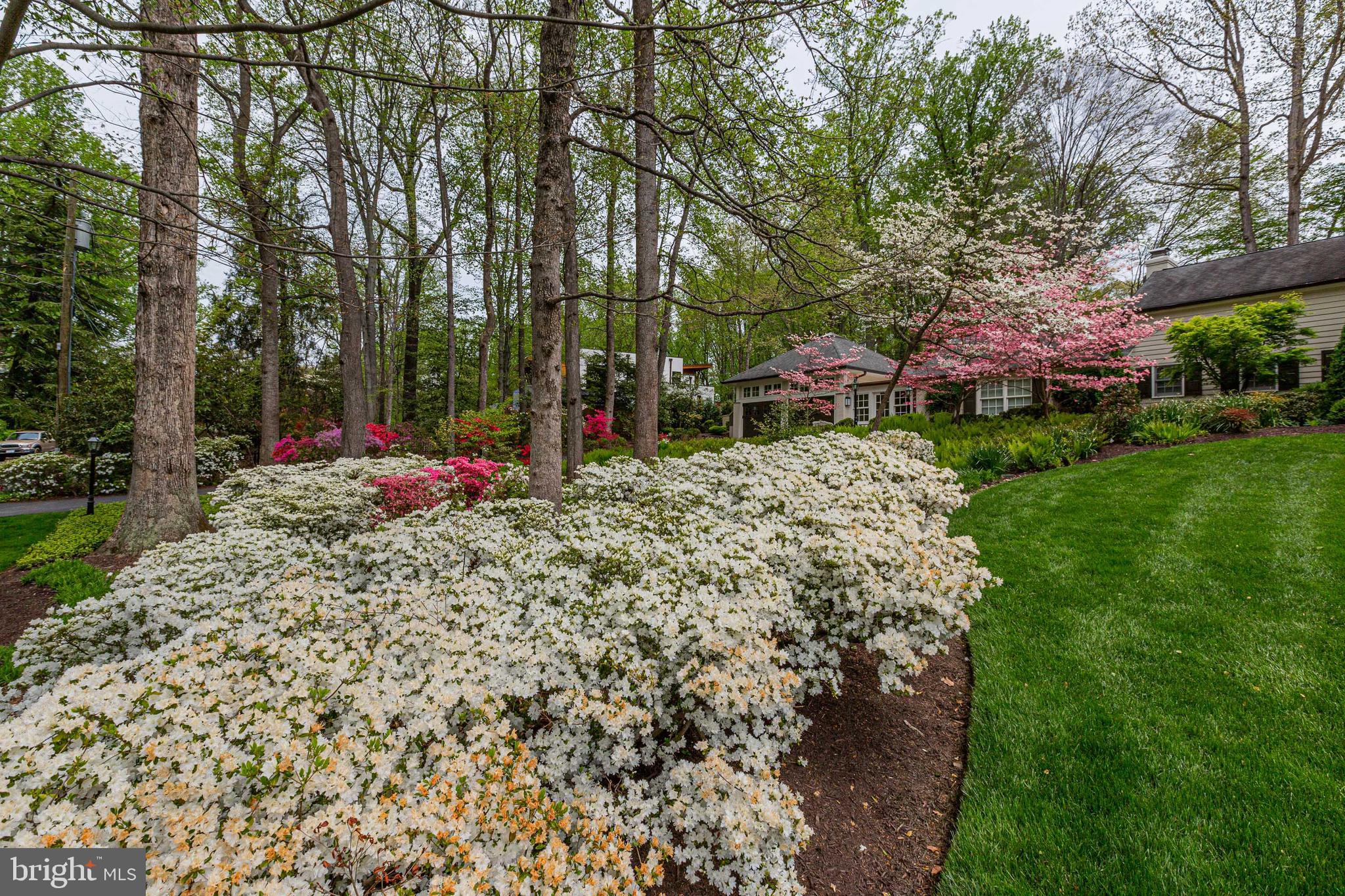OLD GEORGETOWN ESTATES - Residential