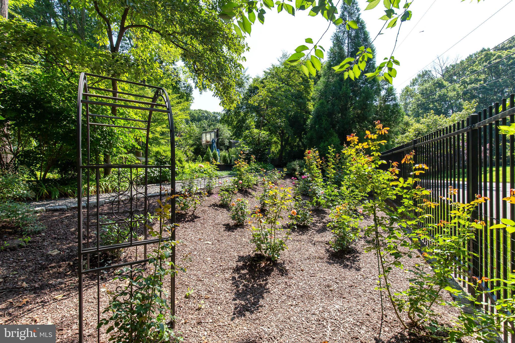 OLD GEORGETOWN ESTATES - Residential