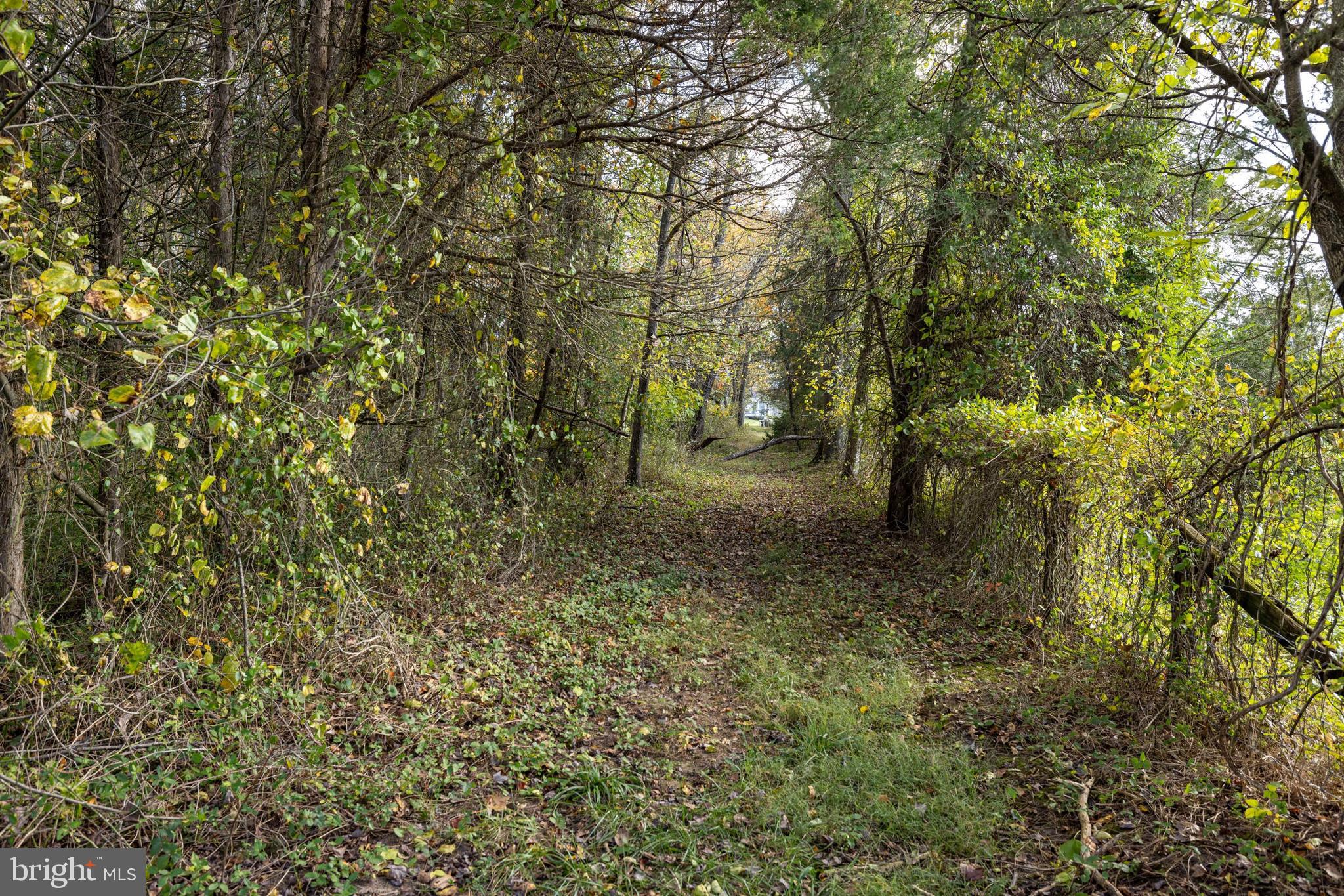 NONE AVAILABLE - Land