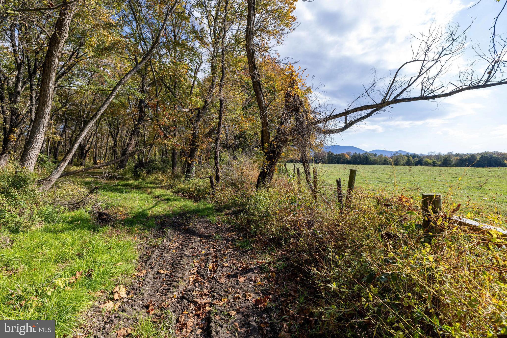 NONE AVAILABLE - Land