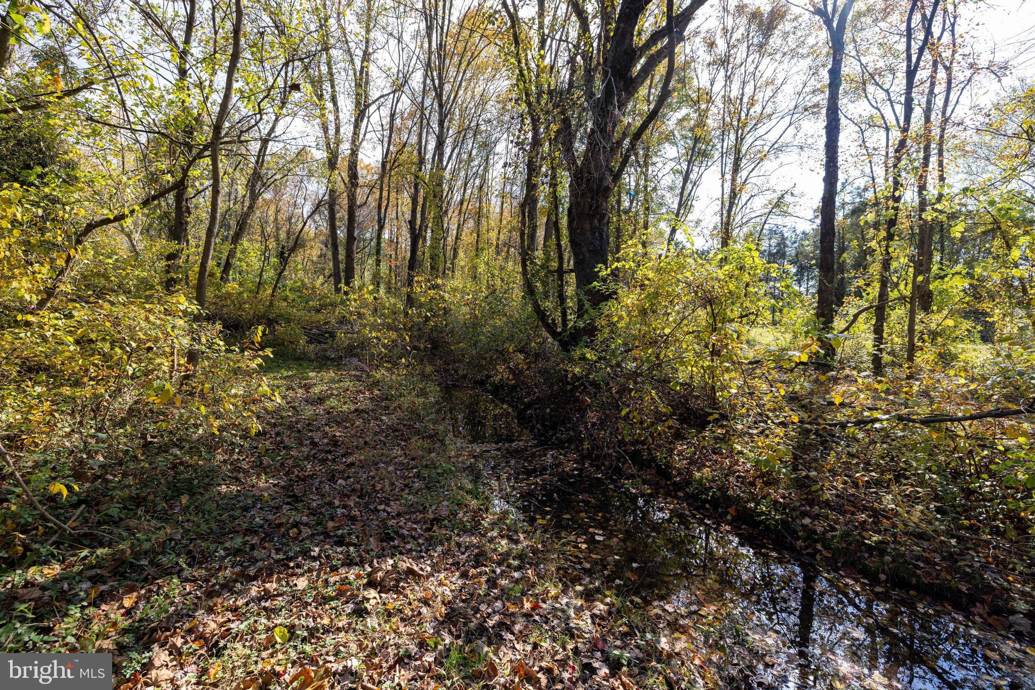 NONE AVAILABLE - Land