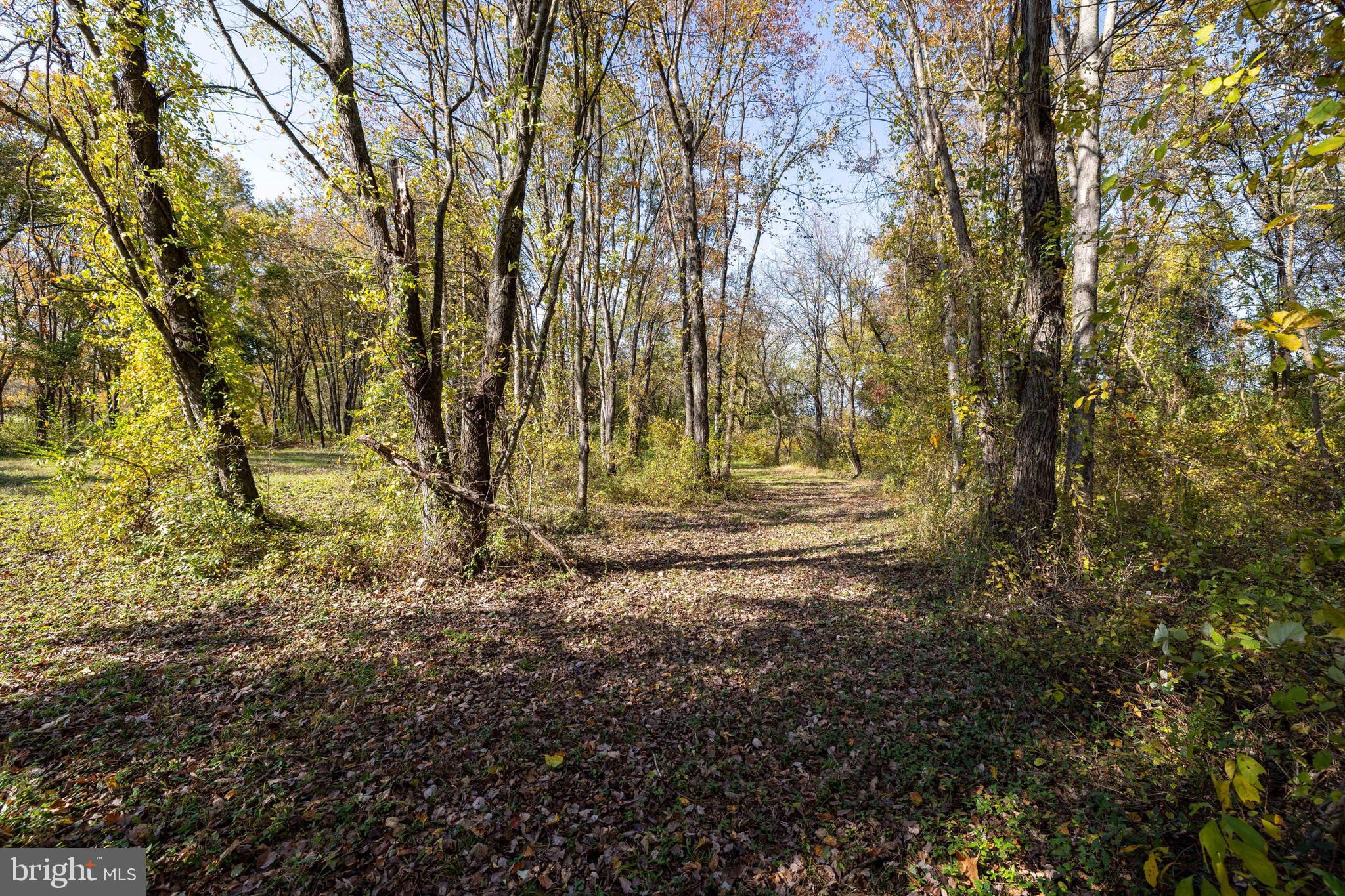 NONE AVAILABLE - Land