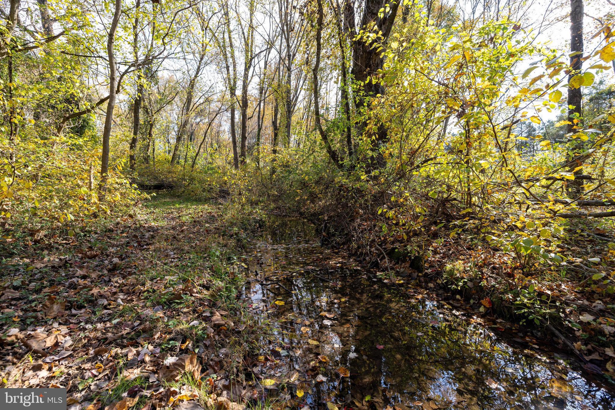 NONE AVAILABLE - Land