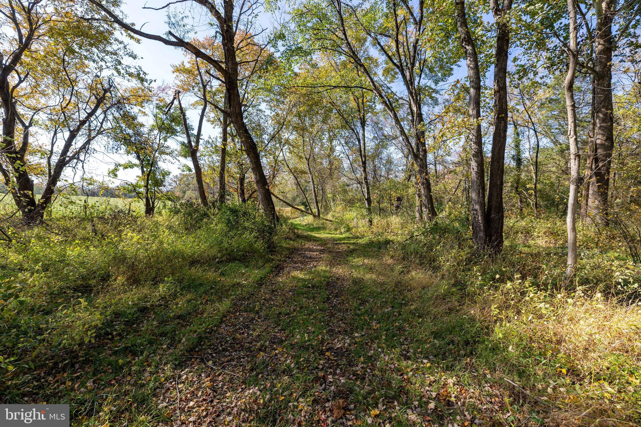 NONE AVAILABLE - Land