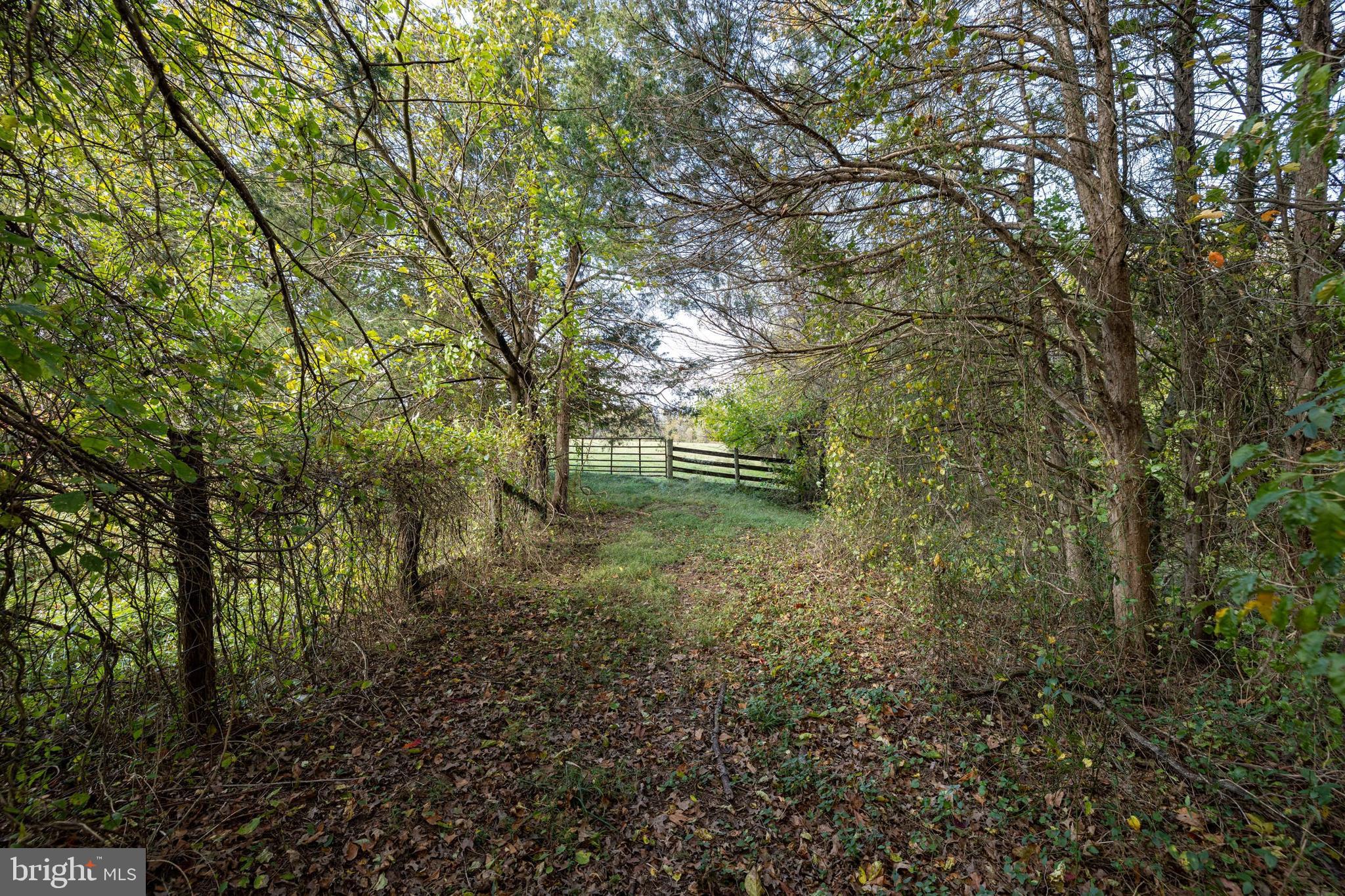 NONE AVAILABLE - Land