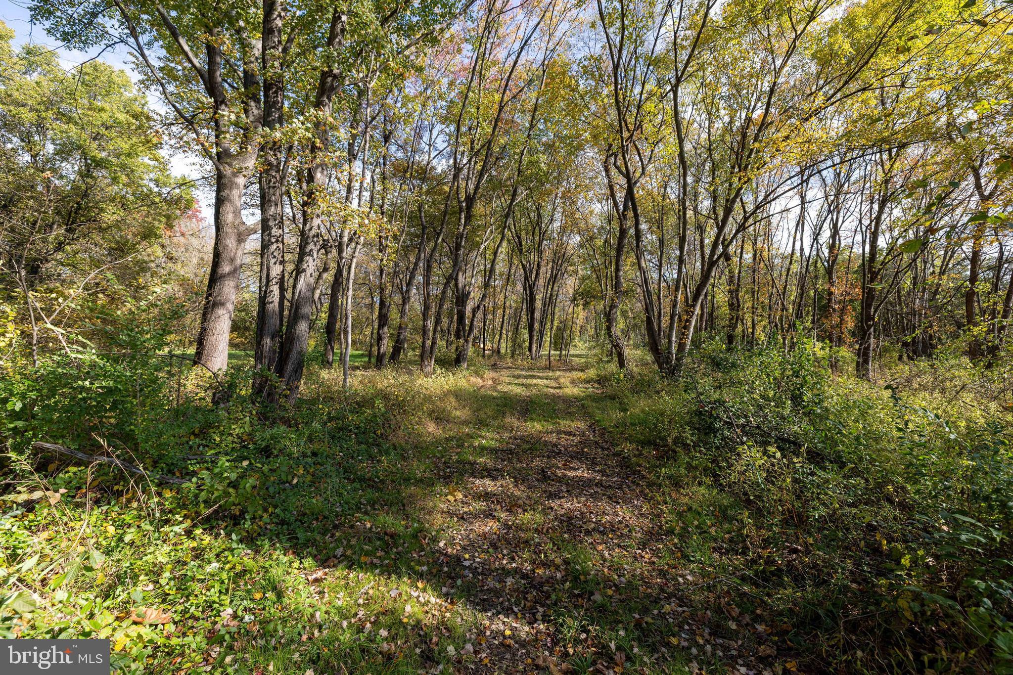 NONE AVAILABLE - Land