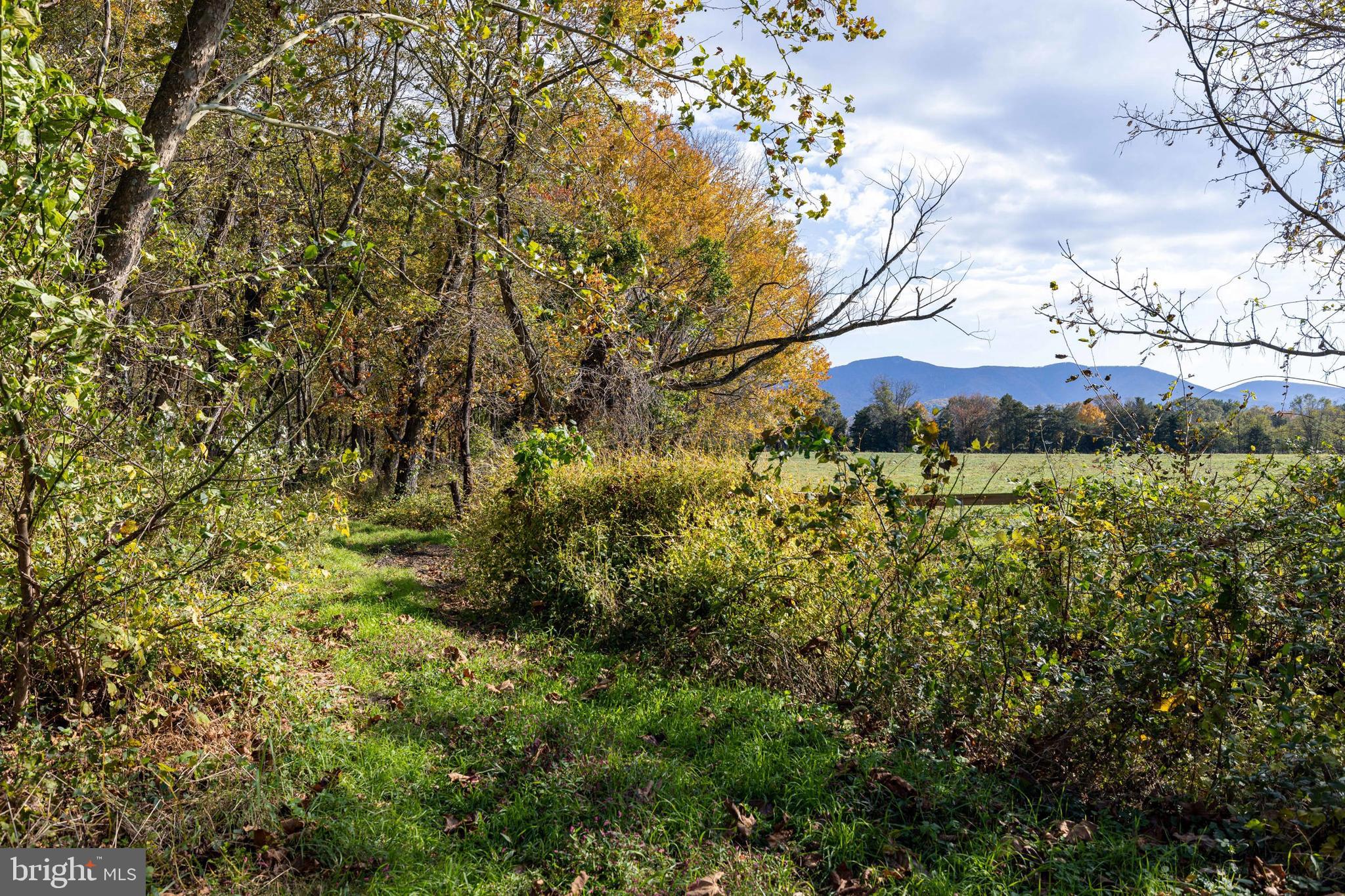 NONE AVAILABLE - Land