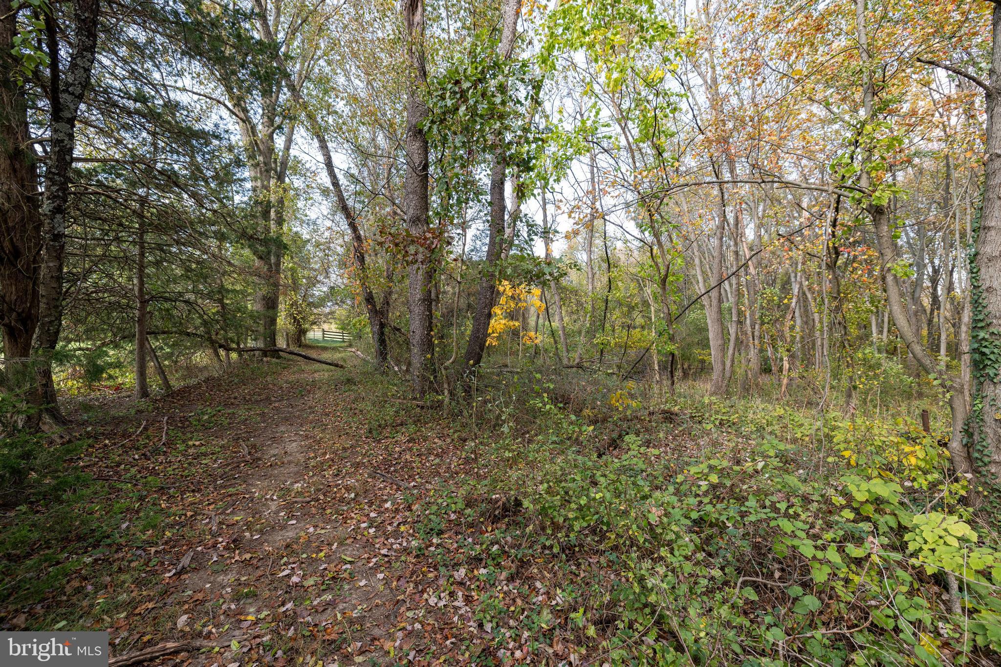 NONE AVAILABLE - Land