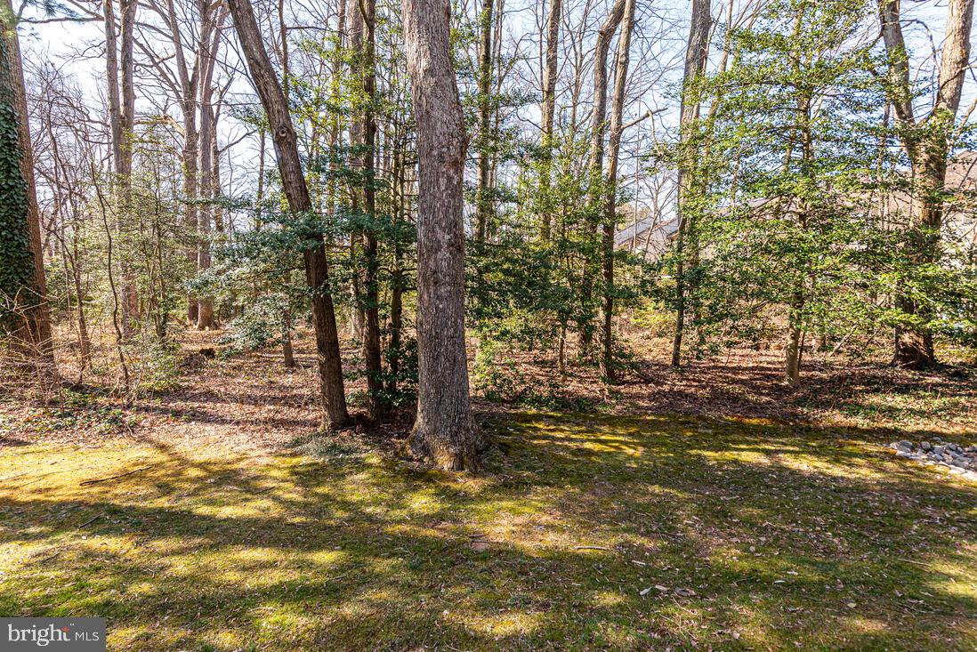 RESTON - Residential Lease